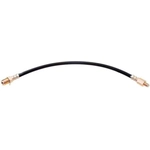 Purchase Front Brake Hose by RAYBESTOS - BH36090