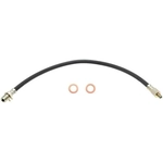 Order Front Brake Hose by RAYBESTOS - BH36510 For Your Vehicle
