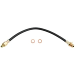 Order Front Brake Hose by RAYBESTOS - BH36511 For Your Vehicle