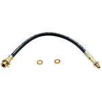 Order Front Brake Hose by RAYBESTOS - BH36637 For Your Vehicle