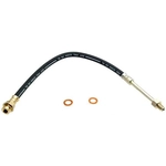 Order Front Brake Hose by RAYBESTOS - BH36641 For Your Vehicle