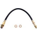 Order Front Brake Hose by RAYBESTOS - BH36669 For Your Vehicle