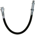 Order Front Brake Hose by RAYBESTOS - BH36776 For Your Vehicle