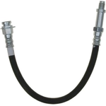 Order Front Brake Hose by RAYBESTOS - BH36776 For Your Vehicle