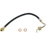 Order Front Brake Hose by RAYBESTOS - BH36786 For Your Vehicle