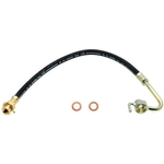 Order Front Brake Hose by RAYBESTOS - BH36787 For Your Vehicle