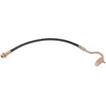 Order Front Brake Hose by RAYBESTOS - BH36811 For Your Vehicle