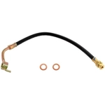 Order Front Brake Hose by RAYBESTOS - BH36813 For Your Vehicle