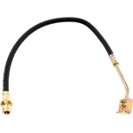 Order Front Brake Hose by RAYBESTOS - BH36842 For Your Vehicle