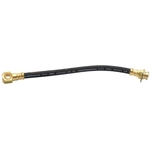 Purchase Front Brake Hose by RAYBESTOS - BH36844