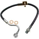 Order RAYBESTOS - BH36954 - Front Brake Hose For Your Vehicle