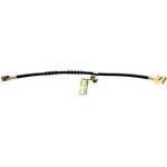 Order Front Brake Hose by RAYBESTOS - BH380072 For Your Vehicle
