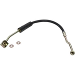 Purchase Front Brake Hose by RAYBESTOS - BH380311