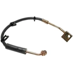 Order Front Brake Hose by RAYBESTOS - BH380369 For Your Vehicle