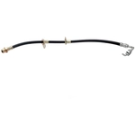 Order Front Brake Hose by RAYBESTOS - BH380430 For Your Vehicle
