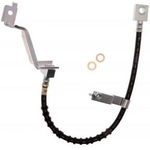Order Front Brake Hose by RAYBESTOS - BH380461 For Your Vehicle