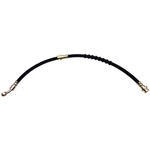 Order Tuyau de frein avant de RAYBESTOS - BH380517 For Your Vehicle
