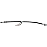 Purchase Tuyau de frein avant de RAYBESTOS - BH381048