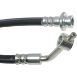 Order Front Brake Hose by RAYBESTOS - BH381121 For Your Vehicle