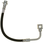 Order Front Brake Hose by RAYBESTOS - BH381126 For Your Vehicle