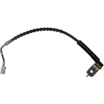 Order RAYBESTOS - BH381134 - Front Brake Hose For Your Vehicle