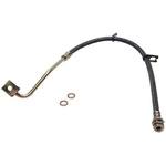 Order Front Brake Hose by RAYBESTOS - BH381146 For Your Vehicle