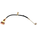 Order Front Brake Hose by RAYBESTOS - BH381160 For Your Vehicle