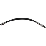 Order Front Brake Hose by RAYBESTOS - BH38133 For Your Vehicle