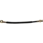Purchase Front Brake Hose by RAYBESTOS - BH381345