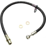 Order Front Brake Hose by RAYBESTOS - BH381350 For Your Vehicle