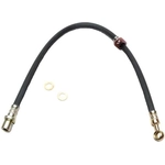 Order Front Brake Hose by RAYBESTOS - BH381352 For Your Vehicle