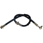 Order Tuyau de frein avant de RAYBESTOS - BH381660 For Your Vehicle