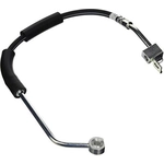 Order RAYBESTOS - BH382310 - Front Brake Hose For Your Vehicle