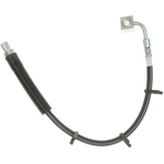 Order Front Brake Hose by RAYBESTOS - BH382379 For Your Vehicle