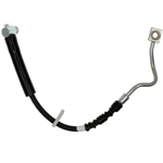 Order Tuyau de frein avant de RAYBESTOS - BH382543 For Your Vehicle