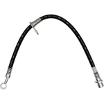 Order Front Brake Hose by RAYBESTOS - BH382557 For Your Vehicle