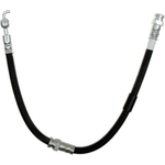 Order Front Brake Hose by RAYBESTOS - BH382579 For Your Vehicle