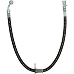 Order Front Brake Hose by RAYBESTOS - BH382667 For Your Vehicle