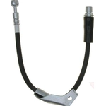 Purchase Front Brake Hose by RAYBESTOS - BH382700