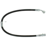 Order Front Brake Hose by RAYBESTOS - BH382805 For Your Vehicle