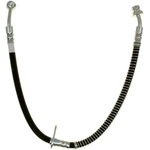 Purchase Front Brake Hose by RAYBESTOS - BH382831