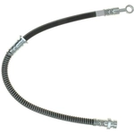 Purchase Front Brake Hose by RAYBESTOS - BH382849