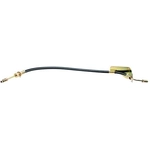 Order Front Brake Hose by RAYBESTOS - BH38290 For Your Vehicle