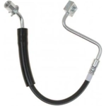 Order Front Brake Hose by RAYBESTOS - BH382954 For Your Vehicle