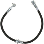 Purchase Front Brake Hose by RAYBESTOS - BH383024