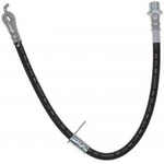 Order Tuyau de frein avant de RAYBESTOS - BH383047 For Your Vehicle