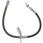 Order Front Brake Hose by RAYBESTOS - BH383123 For Your Vehicle