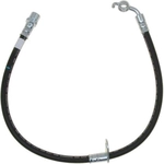 Order Front Brake Hose by RAYBESTOS - BH383164 For Your Vehicle