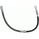 Order Front Brake Hose by RAYBESTOS - BH383176 For Your Vehicle