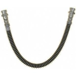 Purchase Front Brake Hose by RAYBESTOS - BH383307